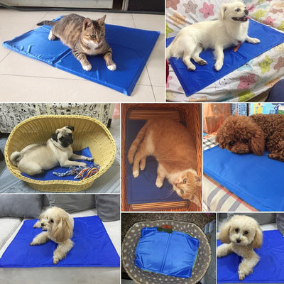 Tapis Rafraîchissant Pour Chiens et Chats - CoinConfort