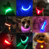 LedCollar™ Collier à LED rechargeable pour chien | Chien - CoinConfort