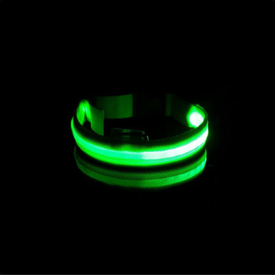 LedCollar™ Collier à LED rechargeable pour chien | Chien - CoinConfort