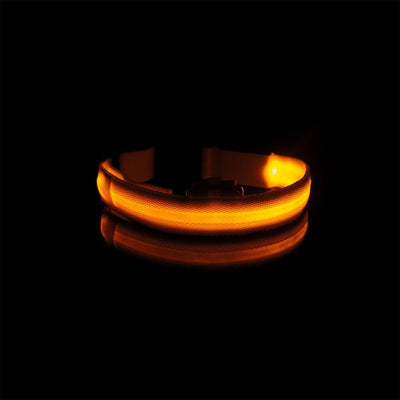 LedCollar™ Collier à LED rechargeable pour chien | Chien - CoinConfort