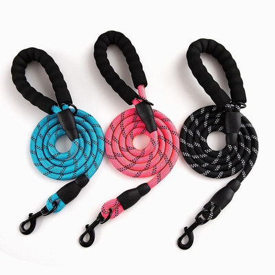 TrainingLeash™ Corde en Nylon pour chien | Chien - CoinConfort