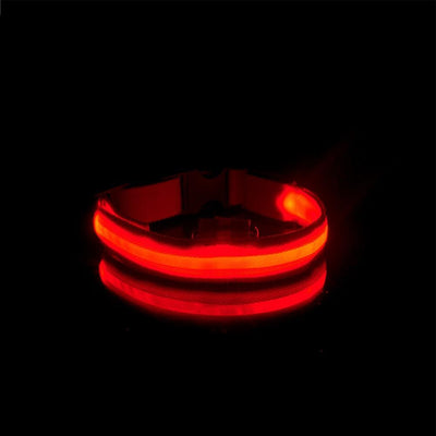 LedCollar™ Collier à LED rechargeable pour chien | Chien - CoinConfort