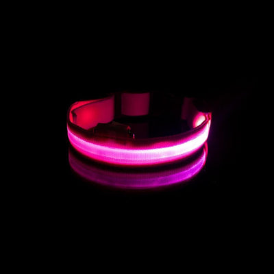 LedCollar™ Collier à LED rechargeable pour chien | Chien - CoinConfort