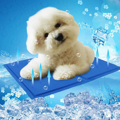 Tapis Rafraîchissant Pour Chiens et Chats - CoinConfort