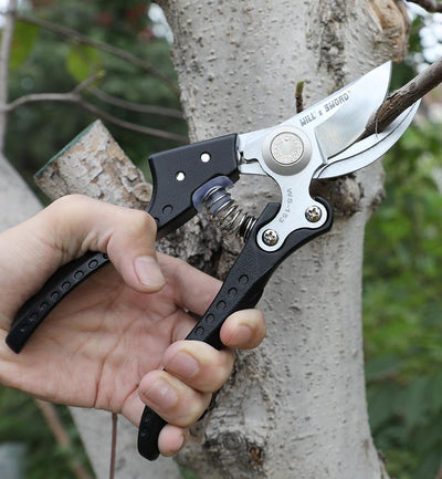 Cisailles d'élagage Professionelles de jardinage - CoinConfort