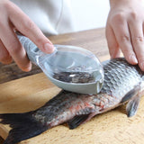 Nettoyant pour écailles de Poisson - CoinConfort