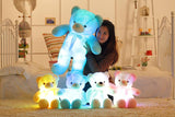 Léo l'Ours Lumineux 50 cm - CoinConfort