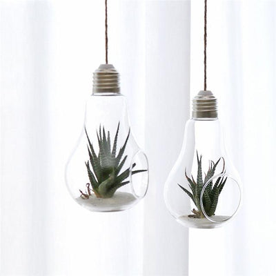 Pot de fleure : Boule de Verre suspendue - CoinConfort