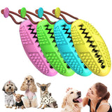 Brosse à Dents à mâcher pour Le Nettoyage des Dents (Chien) - CoinConfort