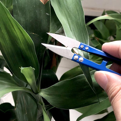 Mini ciseaux pointus de jardinage - CoinConfort