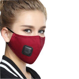 2 PurMasque® Anti-Virus + 4 Filtres à Charbon Protecteur Gratuit - CoinConfort