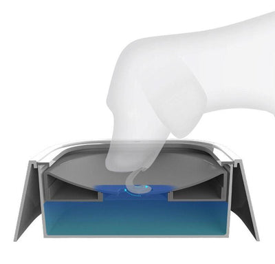 WaterBowl™  | Bol pour chien | CHIEN - CoinConfort