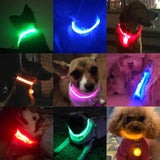 LedCollar™ Collier à LED rechargeable pour chien | Chien - CoinConfort