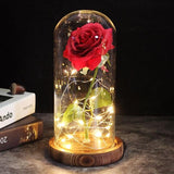 Lampe Fleur Colorée Table de Nuit - CoinConfort